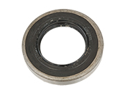 Shaft Seal, Differential 48x82x12 mm. FPM