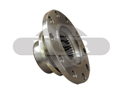 Flange, differential